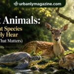 Quiet Animals